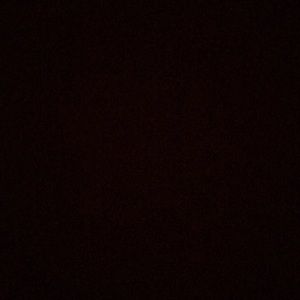 Meet your Posher, Noah